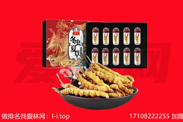 龙南市回收虫草.jpg